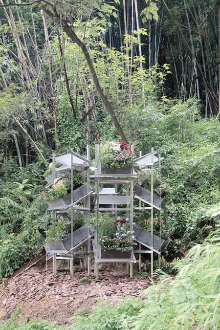 Flower Room
